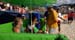t_OZE_0269