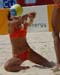 m_OZE_0449