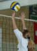 c_OZE_0382